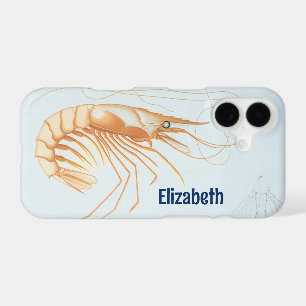 Vintage Shrimp, Marine Life Ocean Animals Anatomy