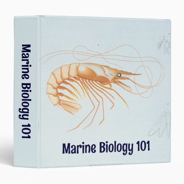 Vintage Shrimp, Marine Life Ocean Animals Anatomy Binder (Front/Spine)