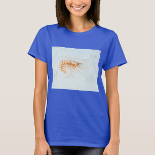 Vintage Shrimp, Marine Life Ocean Animals Anatomy T-Shirt