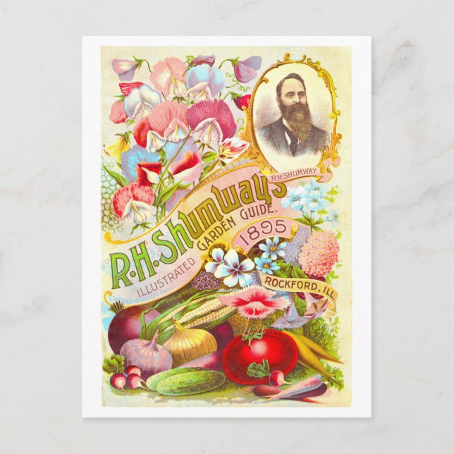 Vintage Shumway Garden Guide Cover 1895 Postcard (Front)