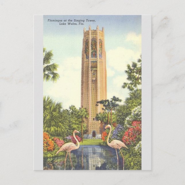 Vintage Singing Tower Lake Wales Florida Postcard (Front)