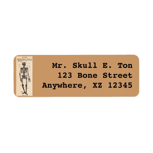 Vintage Skeleton Definition (Front)
