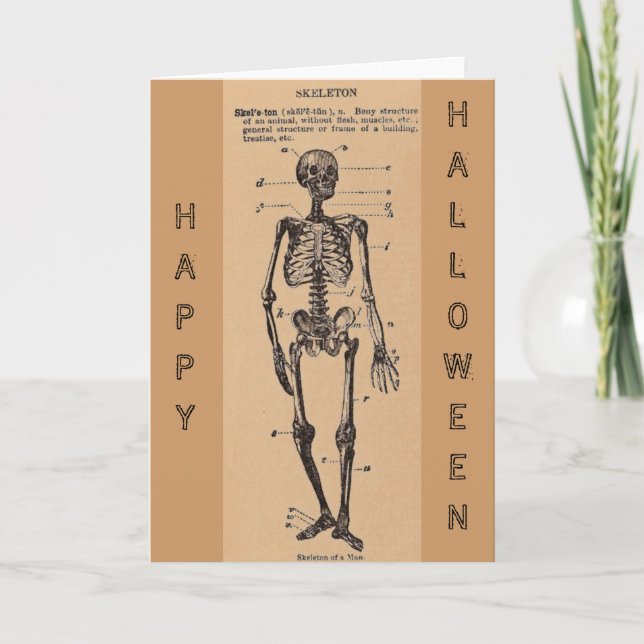 Vintage "Skeleton" Definition Card (Front)