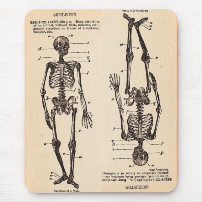 Vintage "Skeleton" Definition Mouse Pad (Front)