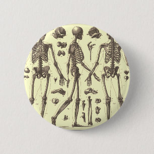 Vintage Skeleton Diagrams 2 Inch Round Button