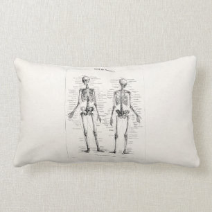 Vintage Skeleton Human Anatomy Bone Bones Skull Lumbar Pillow