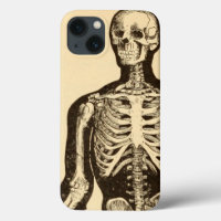 Vintage skeleton illustration aged whimsical flat 