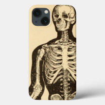 Vintage skeleton illustration aged whimsical flat