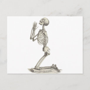Vintage Skeleton Postcard