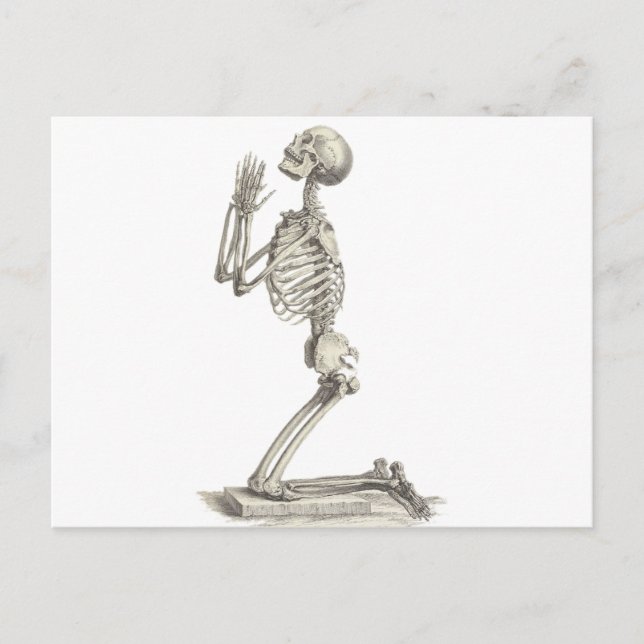 Vintage Skeleton Postcard (Front)