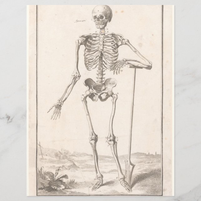 Vintage skeleton scrapbooking ephemera page (Front)