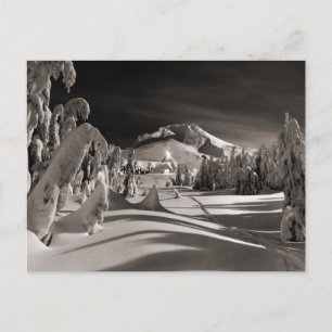 Vintage ski image, Ski trail through the trees Postcard