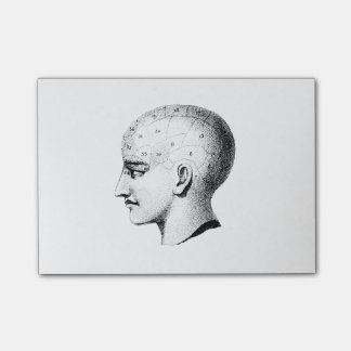 Vintage Skull Anatomy Chart Post it Notes
