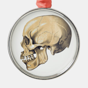Vintage Skull Anatomy Illustration Metal Ornament