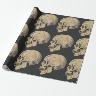 Vintage Skull Anatomy Illustration Wrapping Paper