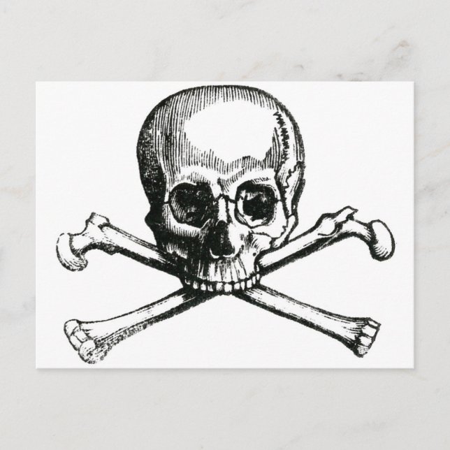 Vintage Skull and Crossbones Postcard (Front)