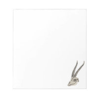 Vintage Skull Antique Antelope Illustration