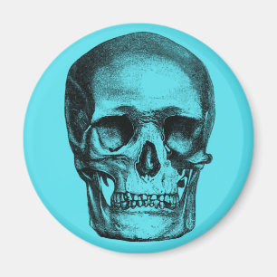 Vintage Skull Clouds Magnet