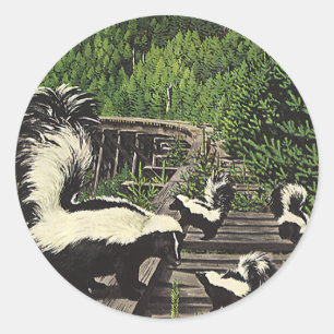 Vintage Skunks, Wild Animals and Forest Creatures Classic Round Sticker