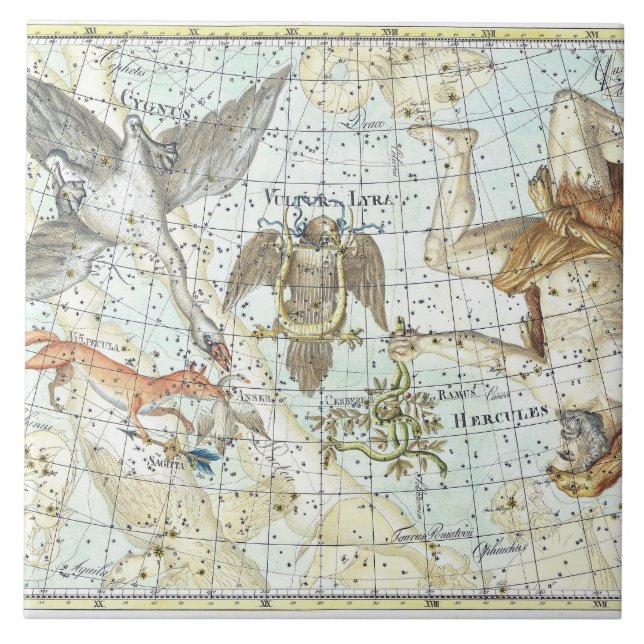 Vintage Sky Map Constellation of Hercules  Tile (Front)