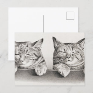 Vintage Sleeping Cats Lithograph, 1874 Postcard