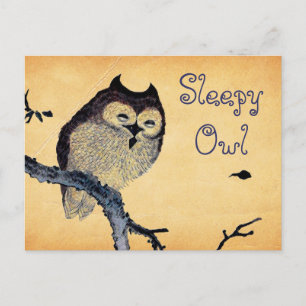 Vintage Sleepy Owl Postcard