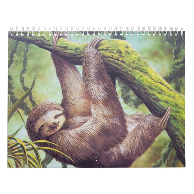 Vintage Sloth Illustration Calendar (Cover)