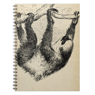 Vintage Sloth Illustration On Aged Paper Notepad / Notebook