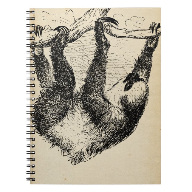 Vintage Sloth Illustration On Aged Paper Notepad / Notebook (Front)