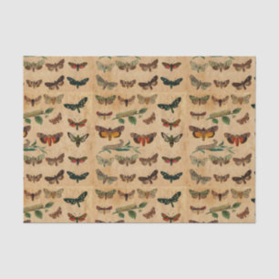 Vintage small Butterflies Stained Paper Decoupage