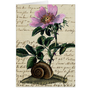 Vintage Snail and Flower digital Art Collage