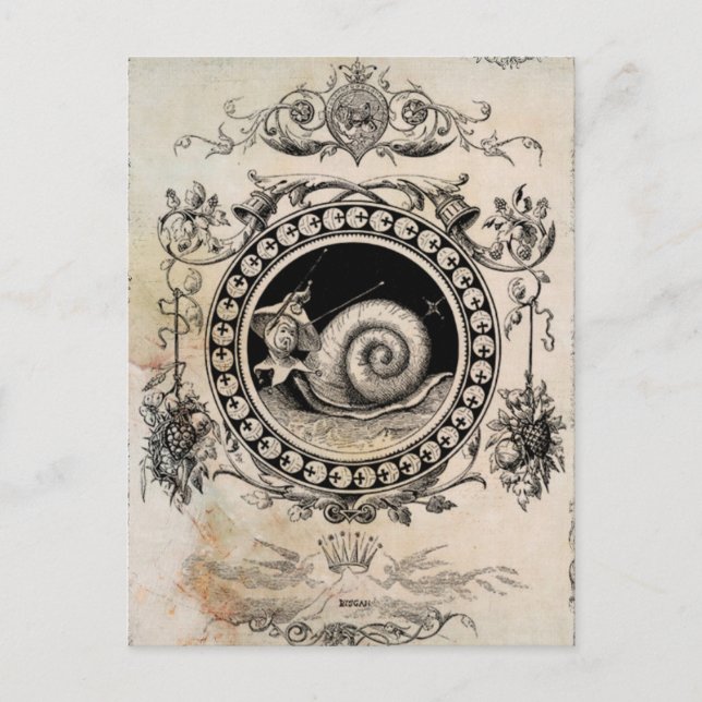 Vintage Snail Fairy Collage Art Postcard (Front)