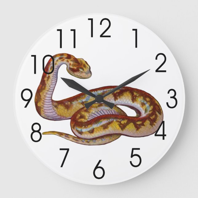 Vintage Snake Illustration Large Clock (Front)