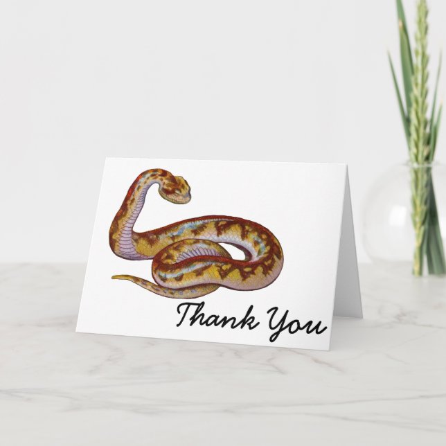 Vintage Snake Illustration Thank You Card (Front)