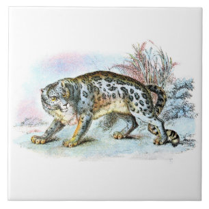 Vintage Snow Leopard Animal Illustration Tile