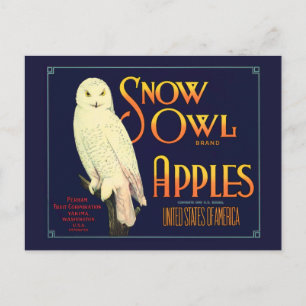 Vintage Snow Owl Apples Label Postcard