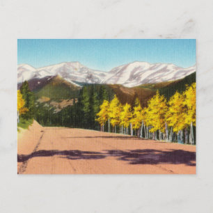 Vintage Snowy Mountain Tops through Park Postcard