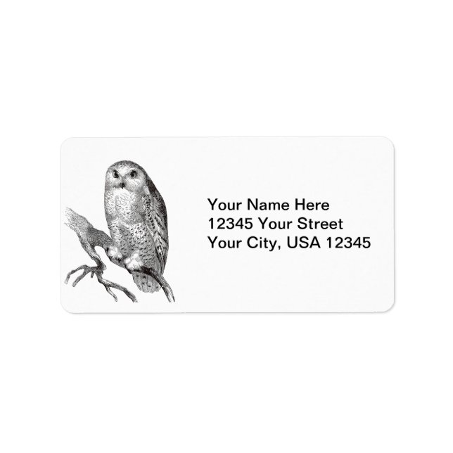 Vintage Snowy Owl Address Labels (Front)