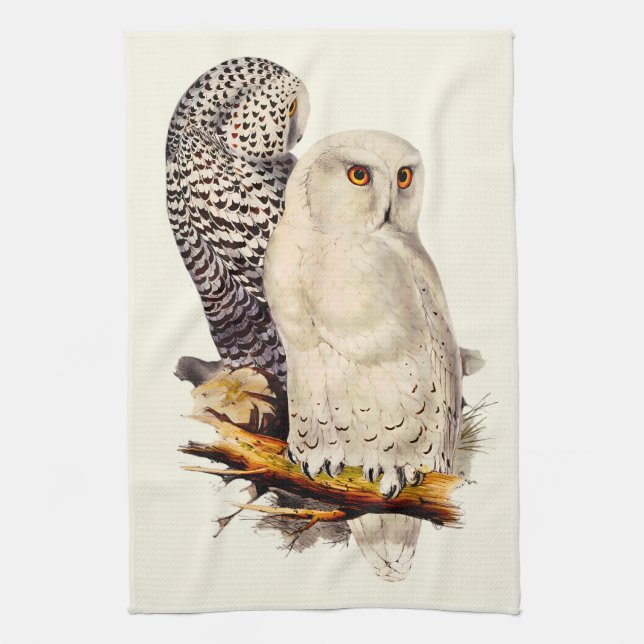 Vintage Snowy Owl Drawing Kitchen Towel (Vertical)