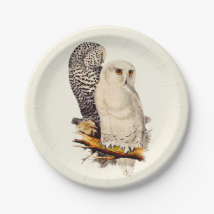 Vintage Snowy Owl Drawing Paper Plate