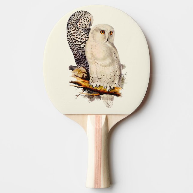 Vintage Snowy Owl Drawing Ping Pong Paddle (Front)