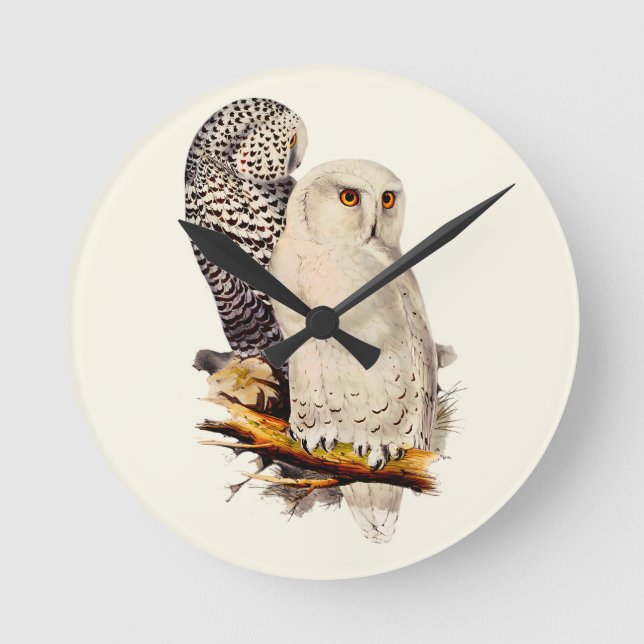 Vintage Snowy Owl Drawing Round Clock (Front)