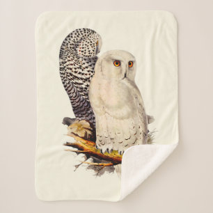 Vintage Snowy Owl Drawing Sherpa Blanket