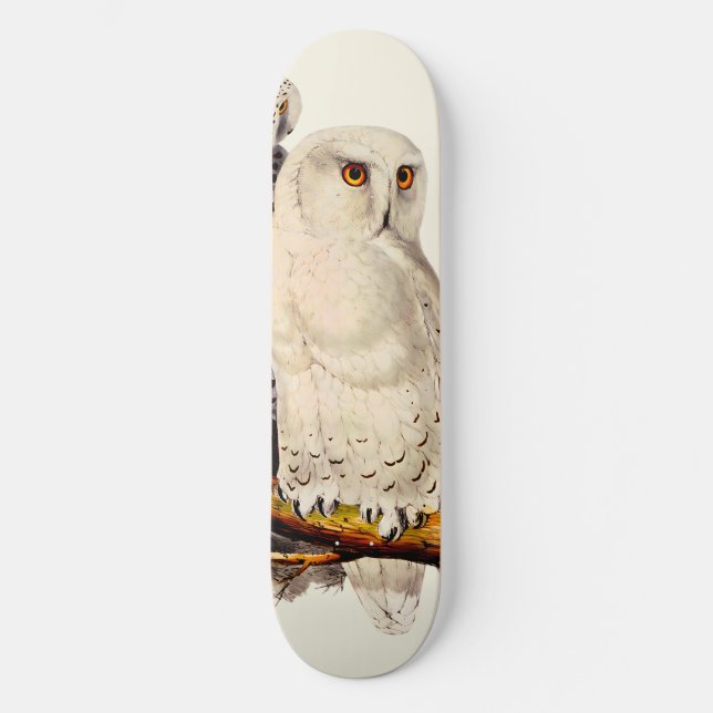 Vintage Snowy Owl Drawing Skateboard (Front)