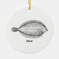 Vintage Sole Fish Illustration