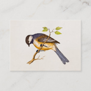 Vintage Song Bird Illustration - 1800's Birds Business Card