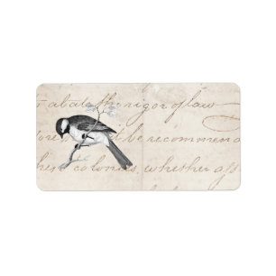 Vintage Song Bird Illustration - 1800's Birds Tex Label