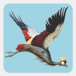 Vintage South African Crowned Crane Flying Art Square Sticker
