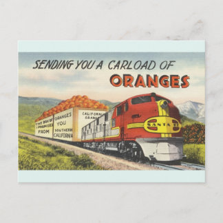 Vintage Southern California Oranges Postcard