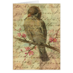Vintage Sparrow